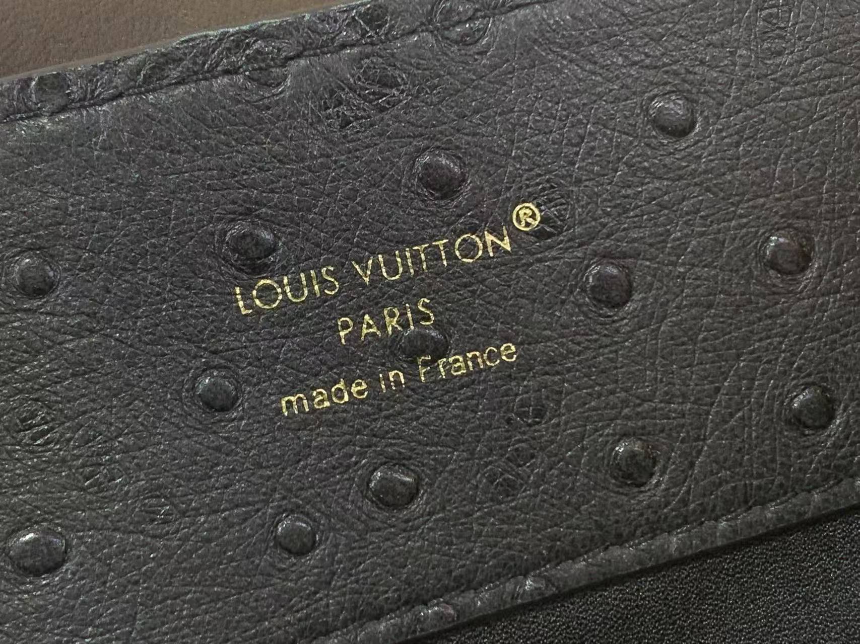 LV Capucines BB Ostrich Leather Handbag Crossbody Bag